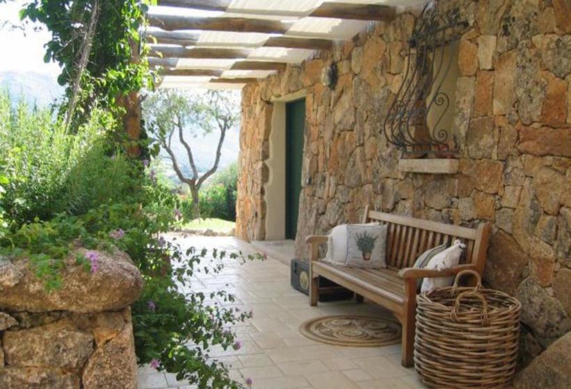 Bed and Breakfast Albero Capovolto  | Golfo Aranci | Sardegna | Italia 3