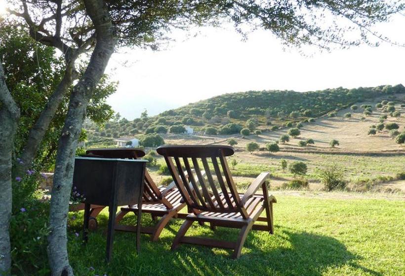 Bed and Breakfast Albero Capovolto  | Golfo Aranci | Sardegna | Italia 4