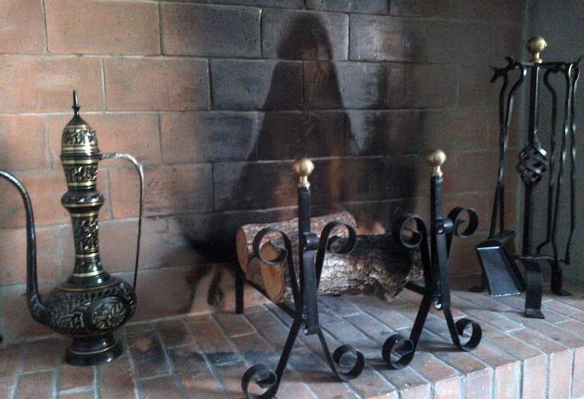 Bed and Breakfast Audrey & Me  | Pisa | Pisa | Italia 11