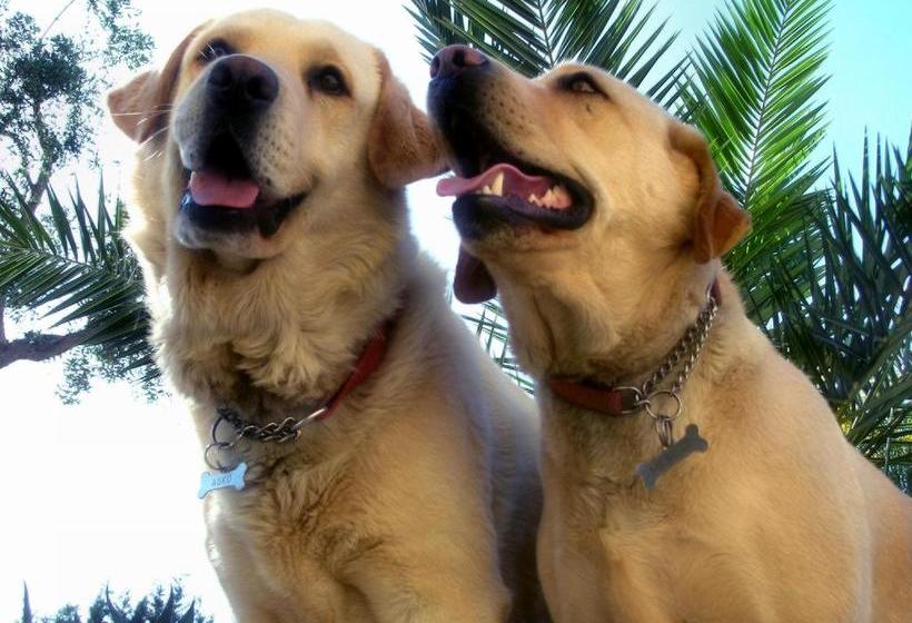 B&b Business  | Casalnuovo di Napoli | Napoli | Italia 4