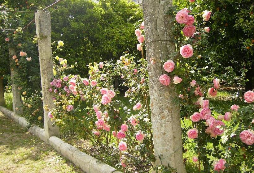 B&b Antico Aranceto  | Bagnolo del Salento | Lecce | Italia 4