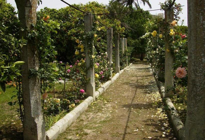 B&b Antico Aranceto  | Bagnolo del Salento | Lecce | Italia 6