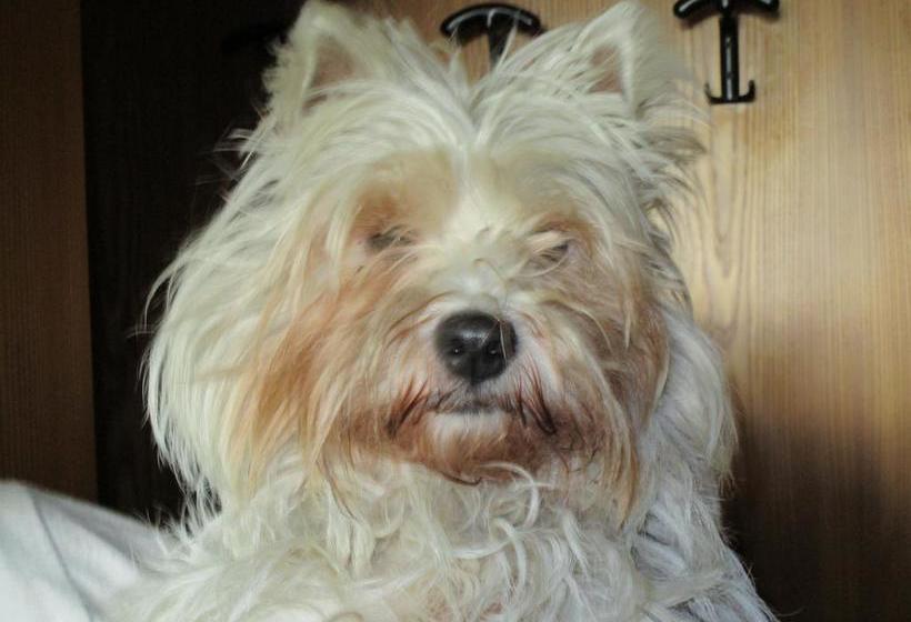 B&b Laura  | Pastrengo | Verona | Italia 10