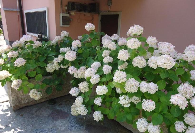 B&b Laura  | Pastrengo | Verona | Italia 8