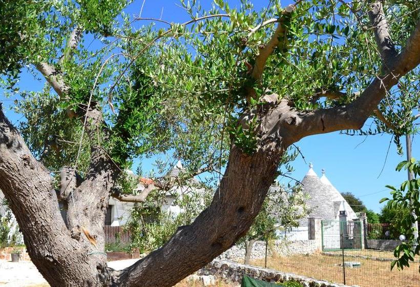 La Civetta B&b  | Alberobello | Bari | Italia 5