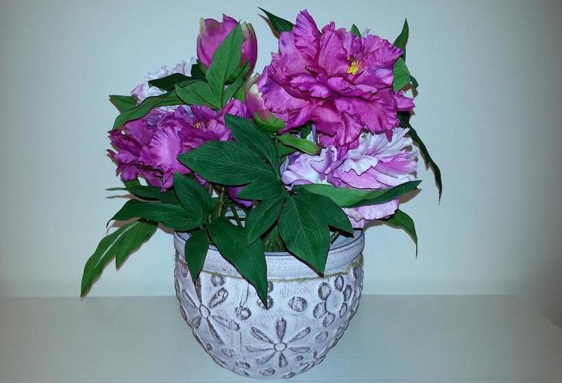 Bed and Breakfast Suite Stefanelli  | Taranto | Taranto | Italia 6