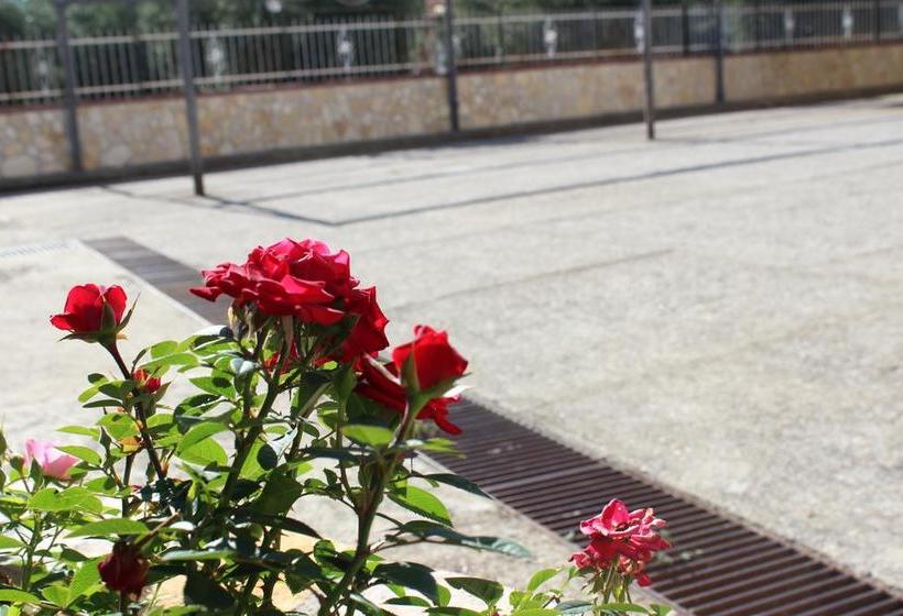 B&b La Vigna  | Lamezia Terme | Catanzaro | Italia 14