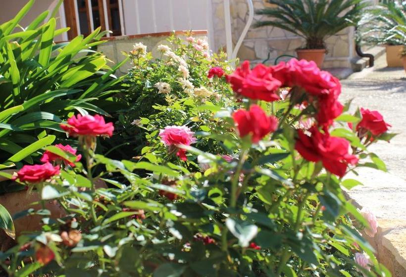 B&b La Vigna  | Lamezia Terme | Catanzaro | Italia 16