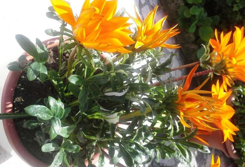 Bed and Breakfast Casa Patrizia  | Sirmione | Brescia | Italia 7