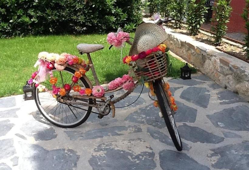 Bed and Breakfast Le Figarole Pescarino  | Ameglia | La Spezia | Italia 16