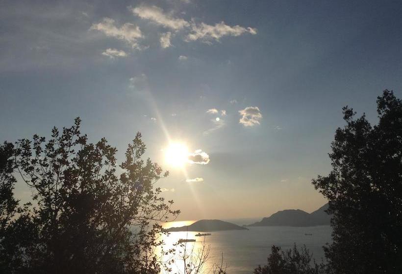 Bed and Breakfast Le Figarole Pescarino  | Ameglia | La Spezia | Italia 17