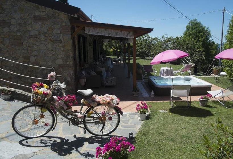 Bed and Breakfast Le Figarole Pescarino  | Ameglia | La Spezia | Italia 3