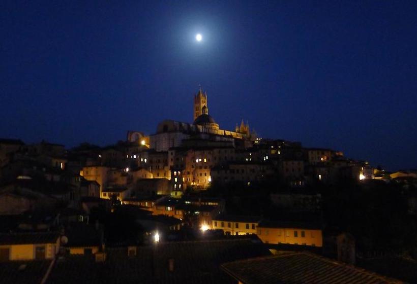 Hotel Albergo Bernini  | Siena | Siena | Italia 16
