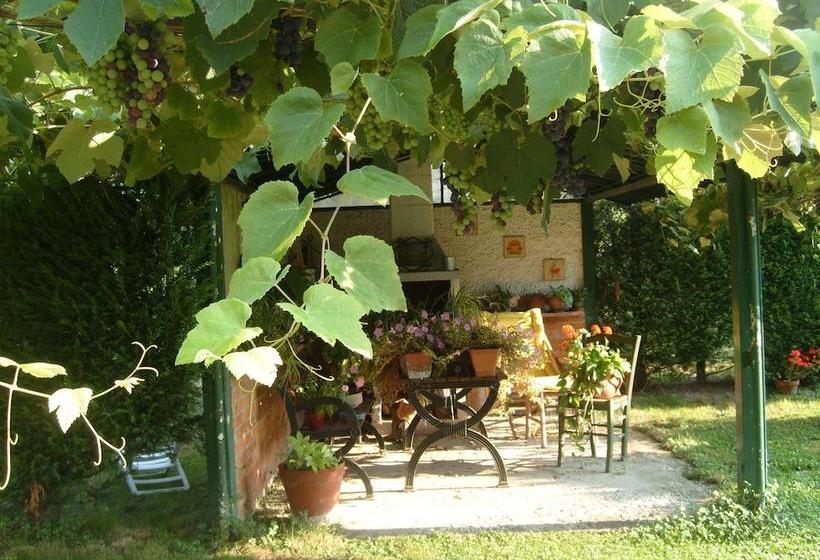 B&b Casa Manuelli  | Alessandria | Alessandria | Italy 12