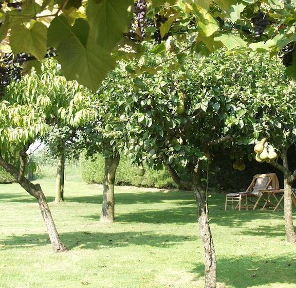 B&b Casa Manuelli  | Alessandria | Alessandria | Italy 15