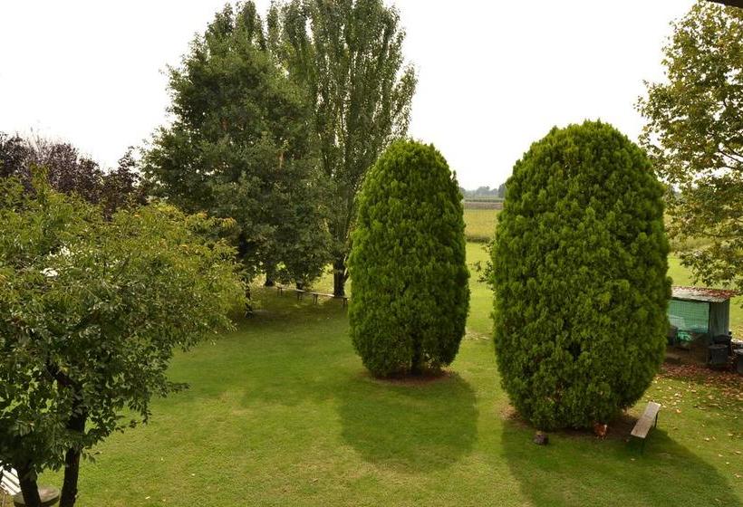 B&b Santa Rita  | Modena | Modena | Italy 1