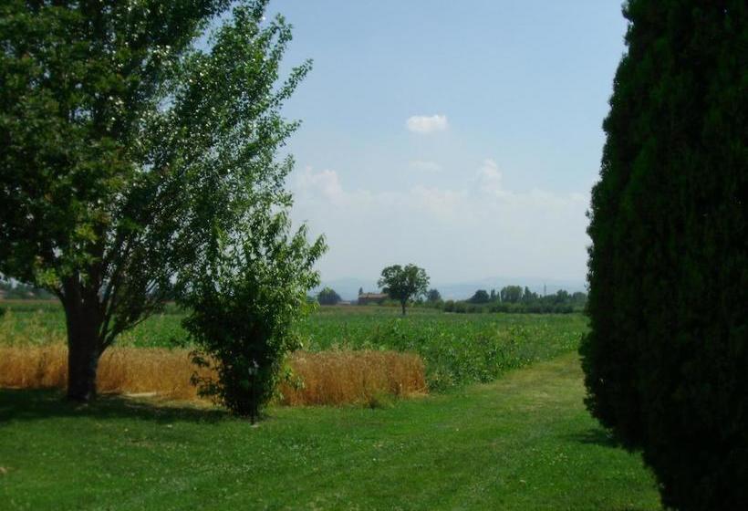 B&b Santa Rita  | Modena | Modena | Italy 14