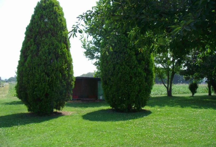 B&b Santa Rita  | Modena | Modena | Italy 5