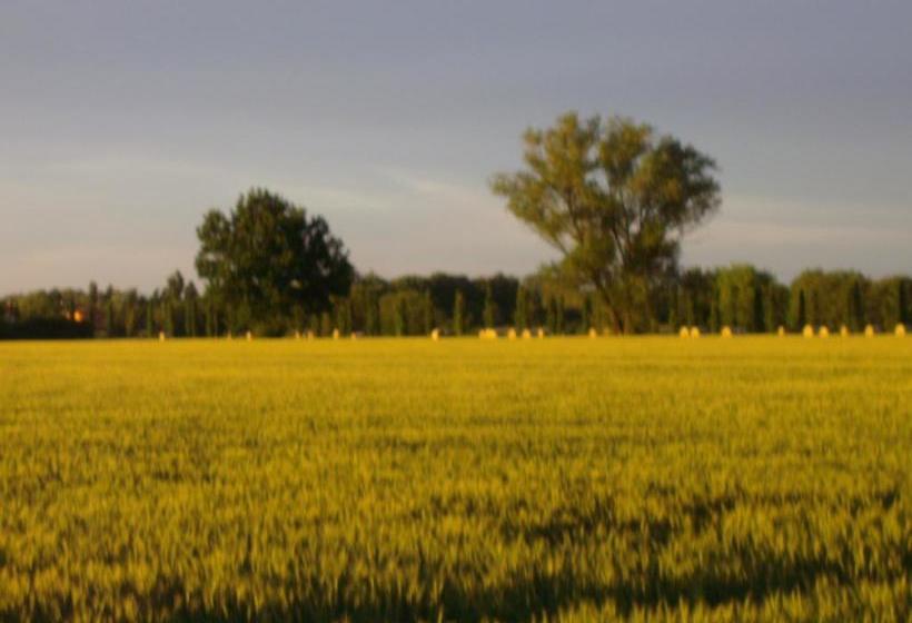 B&b Santa Rita  | Modena | Modena | Italy 6