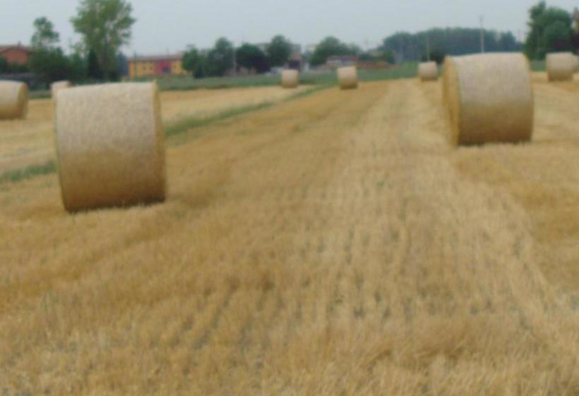 B&b Santa Rita  | Modena | Modena | Italy 8