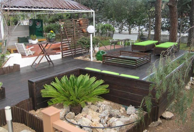 Santos B&b  | Bari | Bari | Italia 13