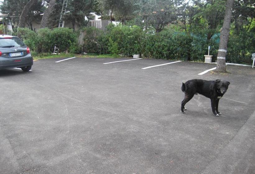 Santos B&b  | Bari | Bari | Italia 8