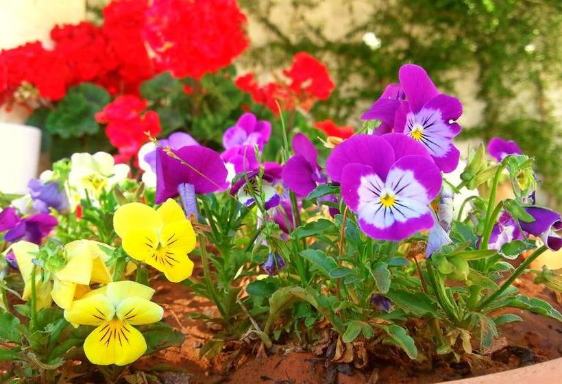 Bed and Breakfast Da Mesciu Nzinu  | Sannicola | Lecce | Italia 15