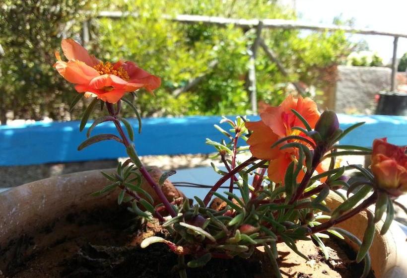 Bed and Breakfast Da Mesciu Nzinu  | Sannicola | Lecce | Italia 17