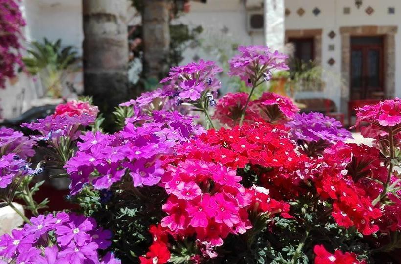 Bed and Breakfast Da Mesciu Nzinu  | Sannicola | Lecce | Italia 2