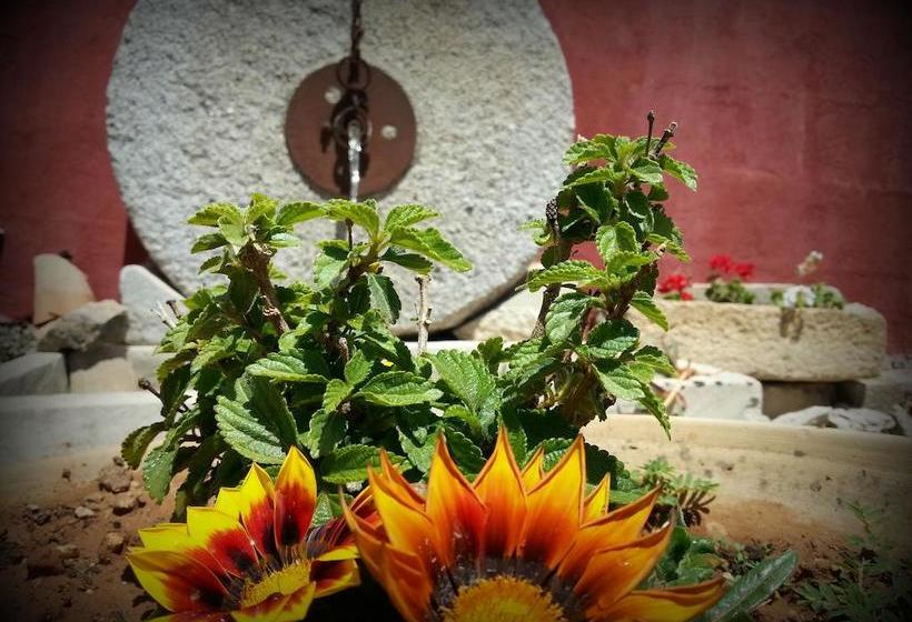 Bed and Breakfast Da Mesciu Nzinu  | Sannicola | Lecce | Italia 7