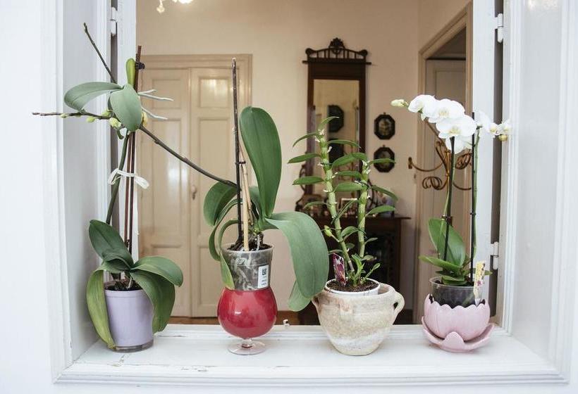 Bed and Breakfast Risveglio Ibleo  | Ragusa | Ragusa | Italia 19