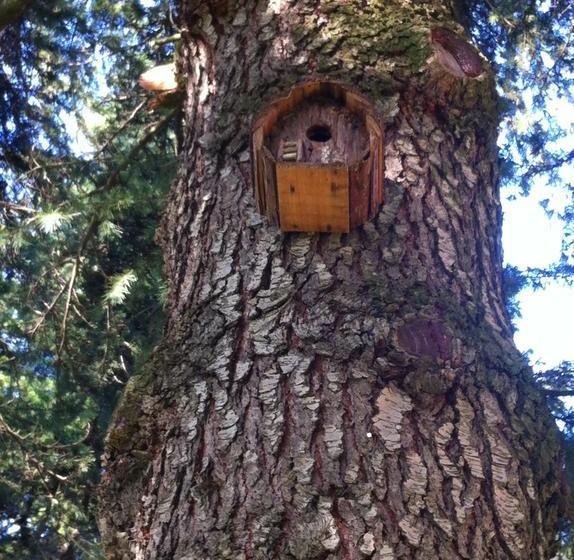 B&b Chalet I Colli  | Bologna | Bologna | Italia 18