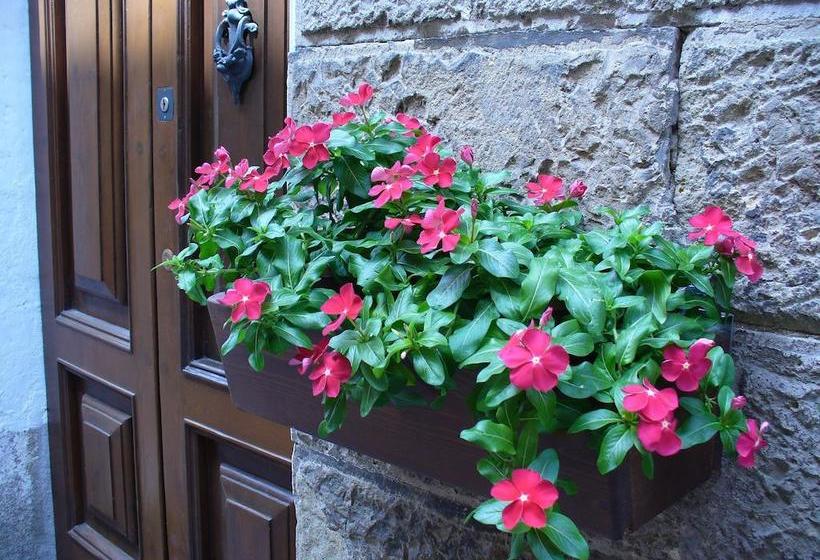 Bed and Breakfast Biddanòa  | Cagliari | Sardegna | Italia 6