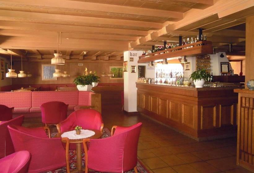 Hotel Orsingher  | San Martino di Castrozza | Trento | Italia 11