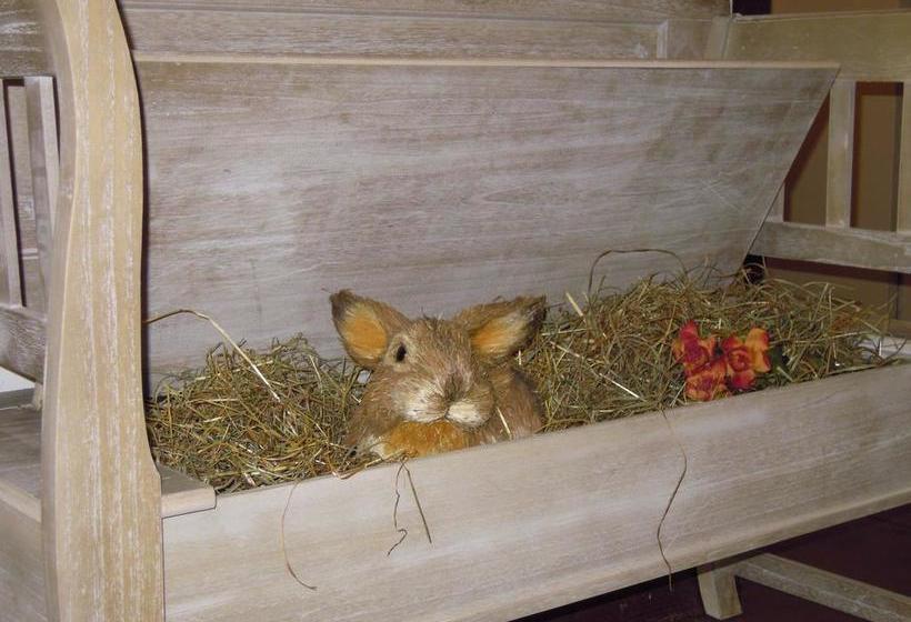 Hotel Orsingher  | San Martino di Castrozza | Trento | Italia 14