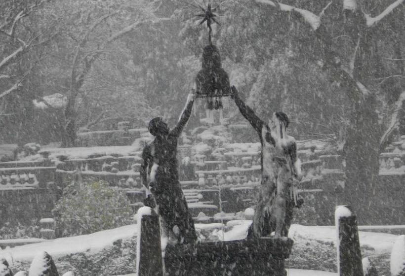 Il Palazzetto B&b  | Viterbo | Viterbo | Italia 5