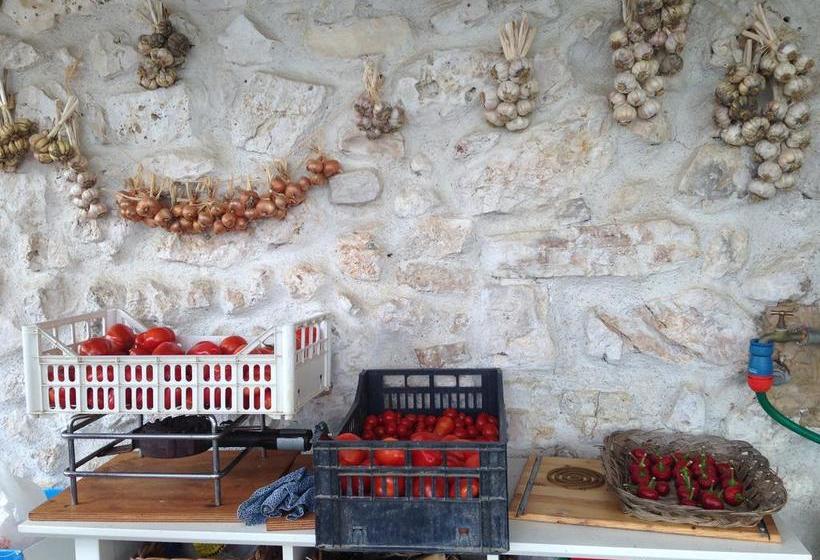 B&b Porchiano Del Monte  | Amelia | Terni | Italia 10