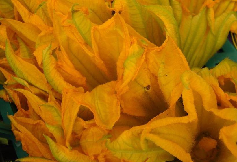 B&b Porchiano Del Monte  | Amelia | Terni | Italia 11