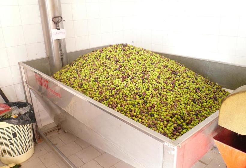 B&b Porchiano Del Monte  | Amelia | Terni | Italia 14