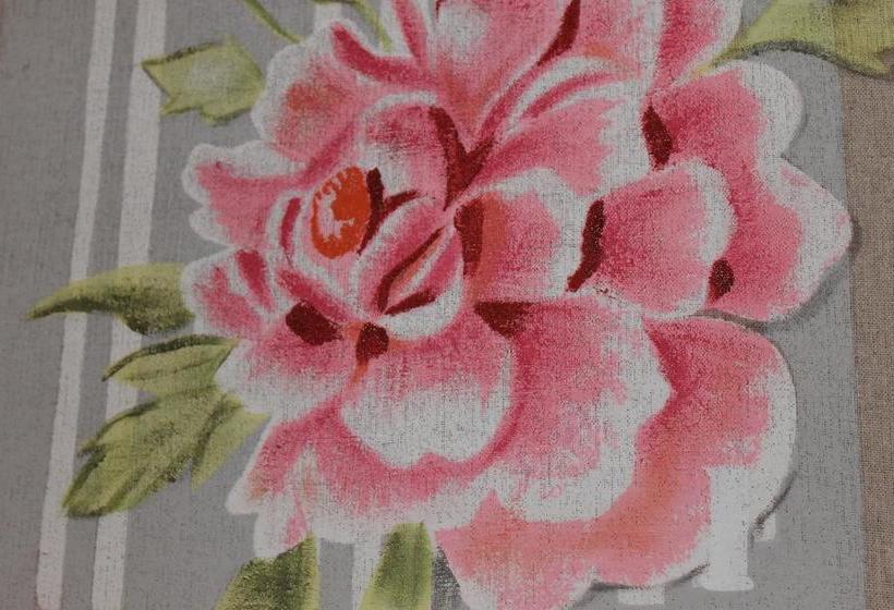 Casa Mia B&b  | Caserta | Caserta | Italia 2