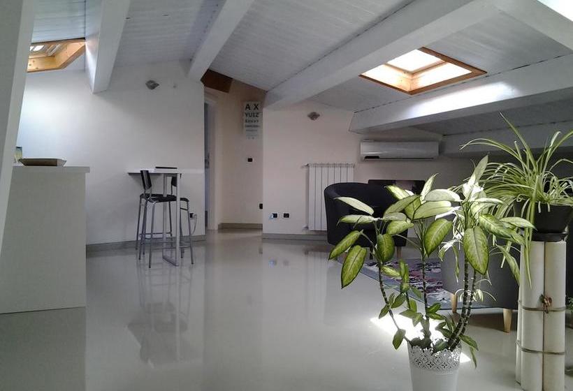 B&butterfly Campobasso