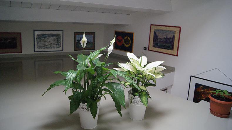 B&butterfly  | Campobasso | Campobasso | Italia 4