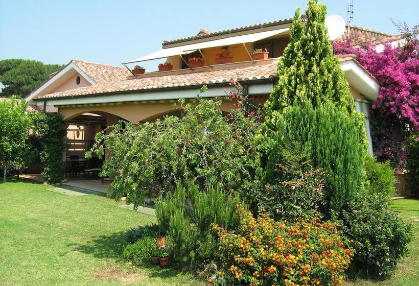 B&b Sedici Pini  | Pomezia | Roma | Italia 1