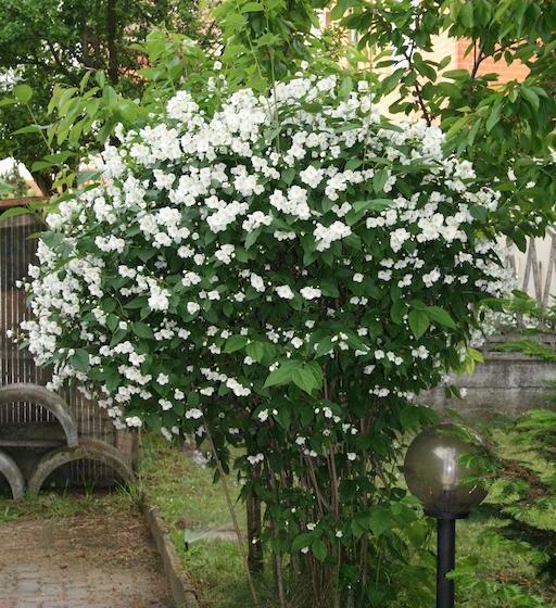 B&b Candiolo Comfort  | Candiolo | Torino | Italia 12