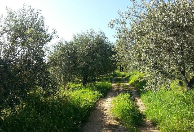 B&b United States Of Europe  | Catânia | Catânia | Itália 18