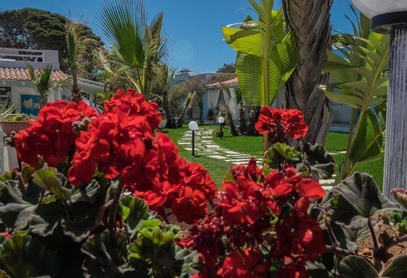 Hotel Albergo Isola Mia  | Favignana | Trapani | Italia 7