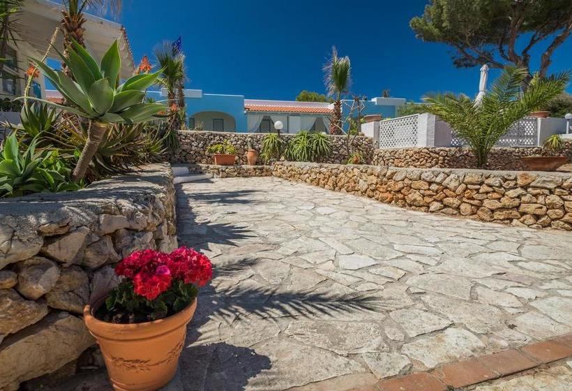 Hotel Albergo Isola Mia  | Favignana | Trapani | Italia 8