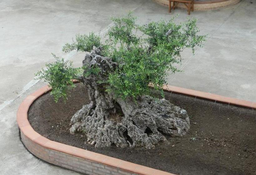 Le Palme Bed And Breakfast  | Briatico | Vibo Valentia | Italia 19