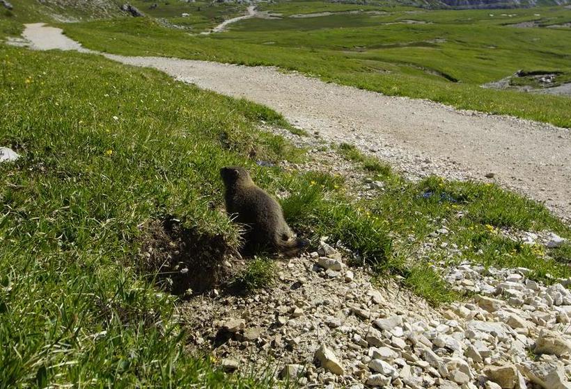 Hotel Mooserhof  | Sesto | Bolzano | Italia 16