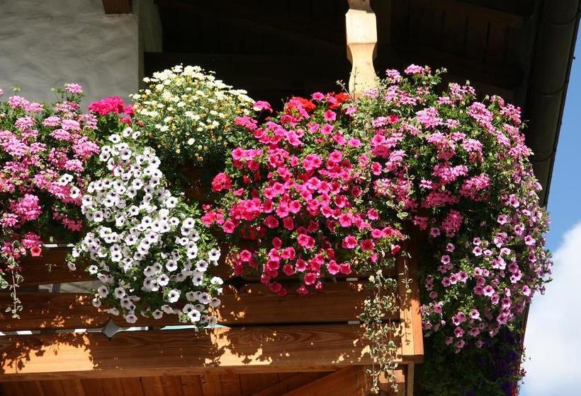 Hotel Mooserhof  | Sesto | Bolzano | Italia 4